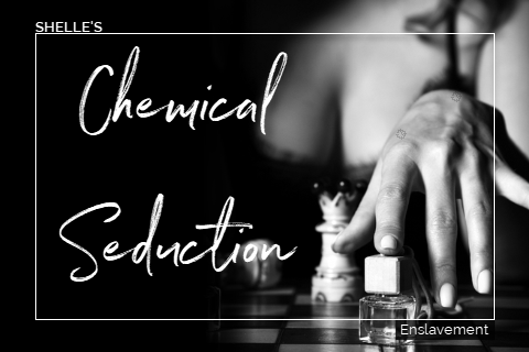 Chemical Seduction | Shelle Rivers