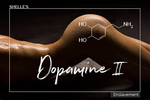Dopamine II | Shelle Rivers
