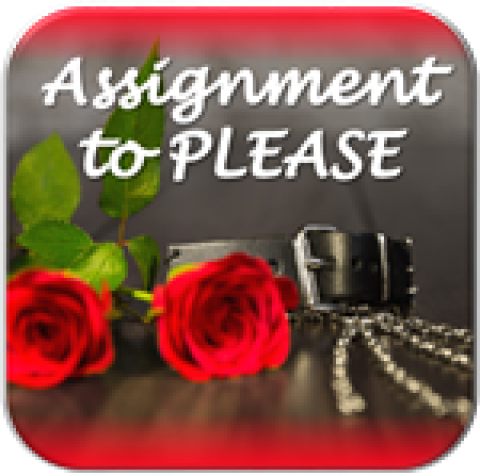 Volunteer Assignment