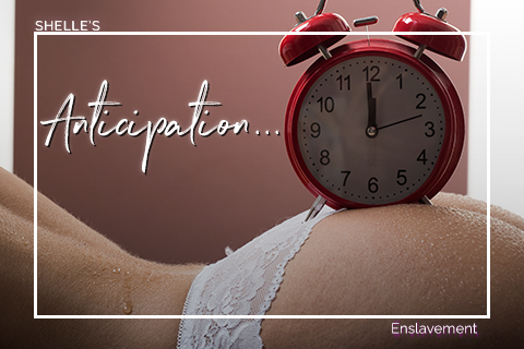 Anticipation | Shelle Rivers