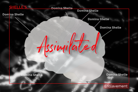 Assimilated | Shelle Rivers