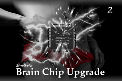 Brain Chip Upgrade 2--Mystery