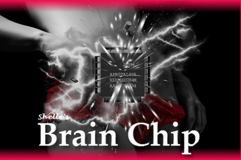 Shelle-Brain-Chip1