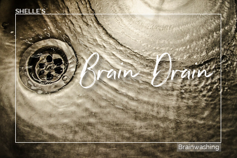 Brain Drain | Shelle Rivers
