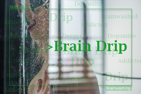 Brain Drip | Shelle Rivers