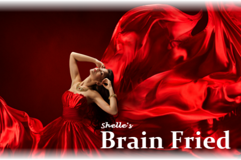 Brain Fried | Shelle Rivers