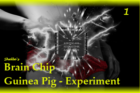 Brain Chip Upgrade-Guinea Pig 1