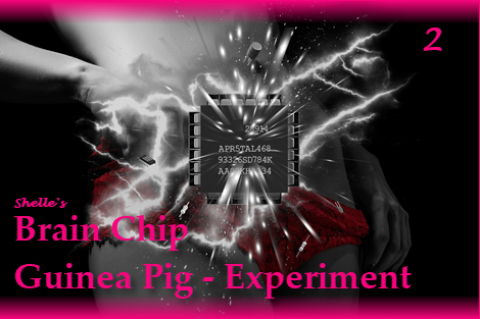 Brain Chip Upgrade-Guinea Pig 2