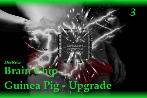 Brain Chip Upgrade-Guinea Pig 3