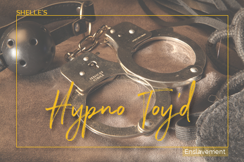 Hypno Toy'd | Shelle Rivers