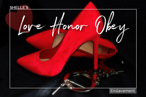 Love Honor Obey by Shelle Rivers