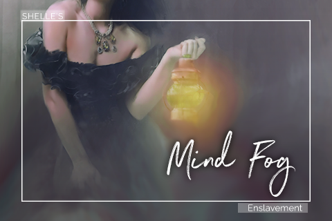 Mind Fog | Shelle Rivers