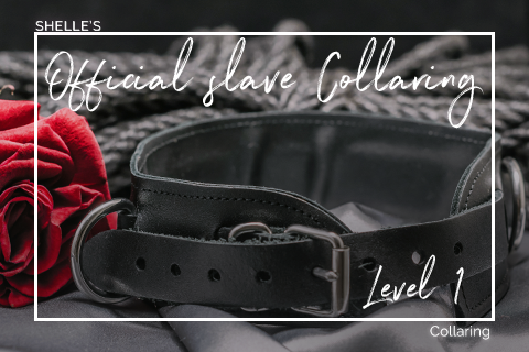 Collared slave | Shelle Rivers