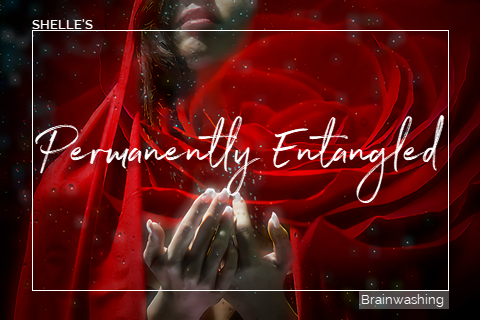 Permanently Entangled | Shelle Rivers