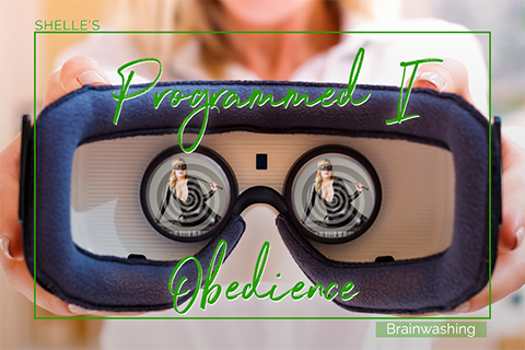 Programmed I - Obedience | Shelle Rivers