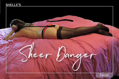 Sheer Danger by Shelle Rivers