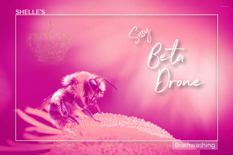 Sissy Beta Drone | Shelle Rivers