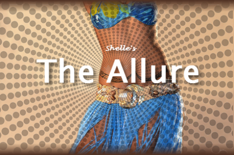 The Allure by Shelle Rivers