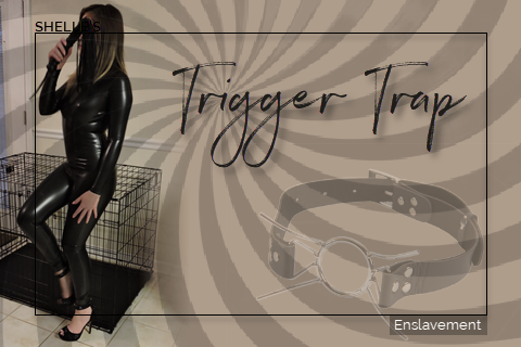 Trigger Trap | Shelle Rivers