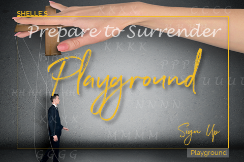 Sign up HERE---Shelle's Playground
